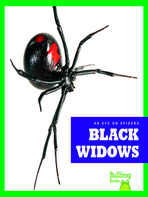 Cover image for Black Widows